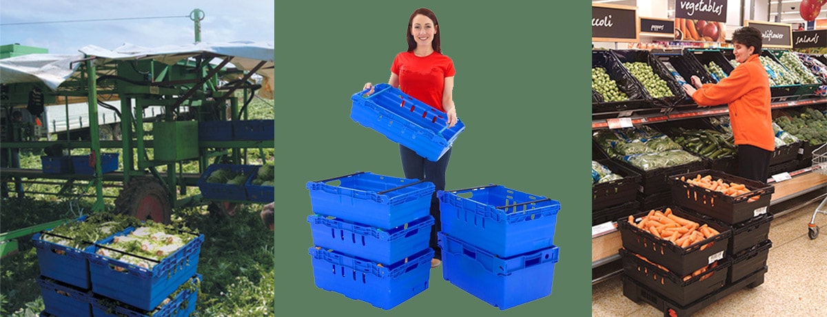 Cassette di frutta in un campo